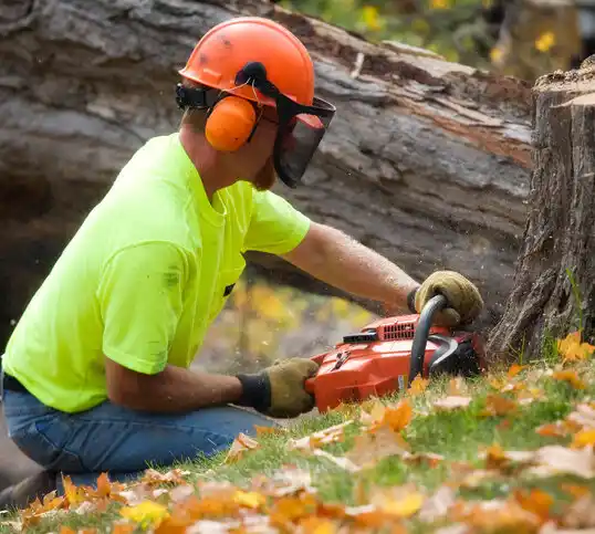 tree services Vass